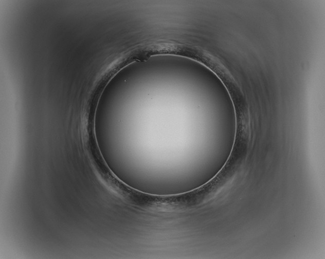 X0000112930538200908311319