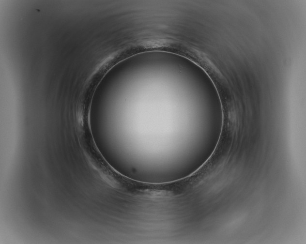 X0000112930539200908311319