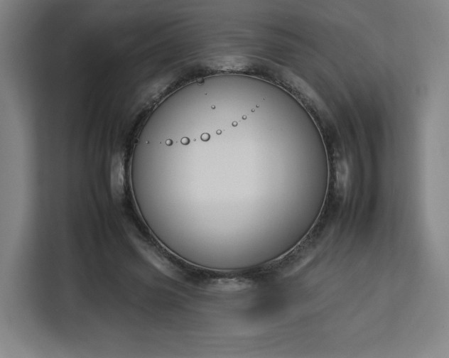 X0000112930541200908311319