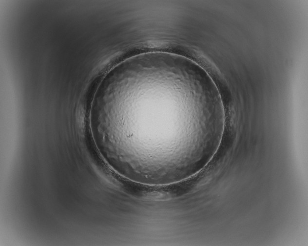 X0000112930542200908311319