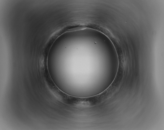 X0000112930543200908311319