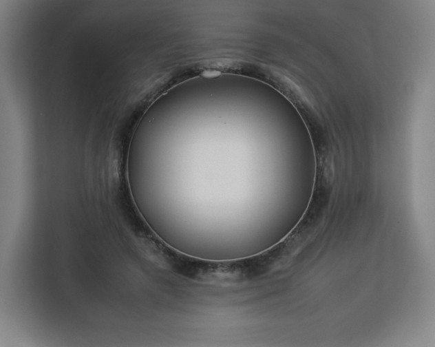 X0000112930546200908311319