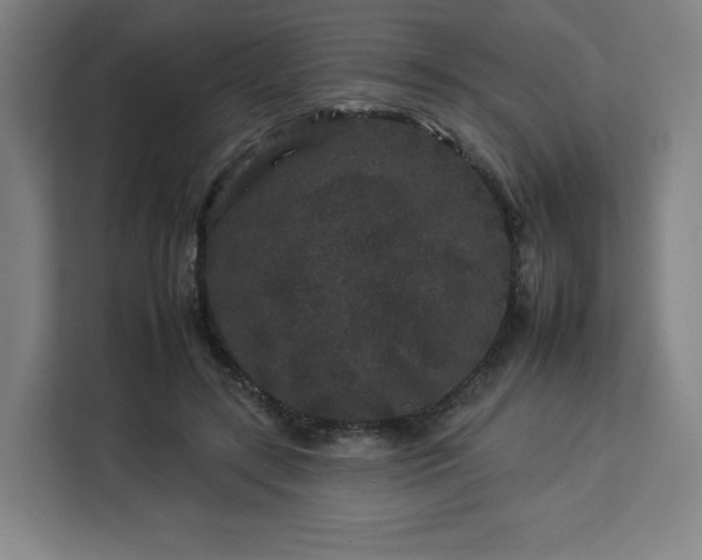 X0000112930547200908311319