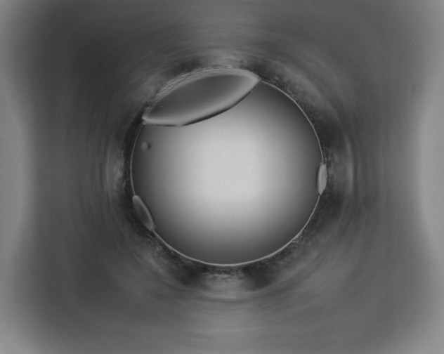 X0000112930548200908311319