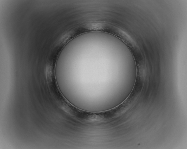 X0000112930549200908311319