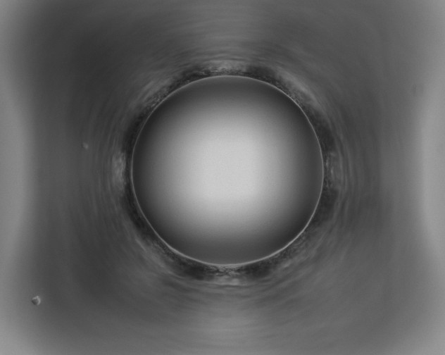 X0000112930550200908311319