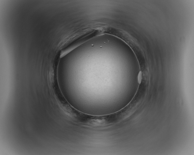 X0000112930552200908311319