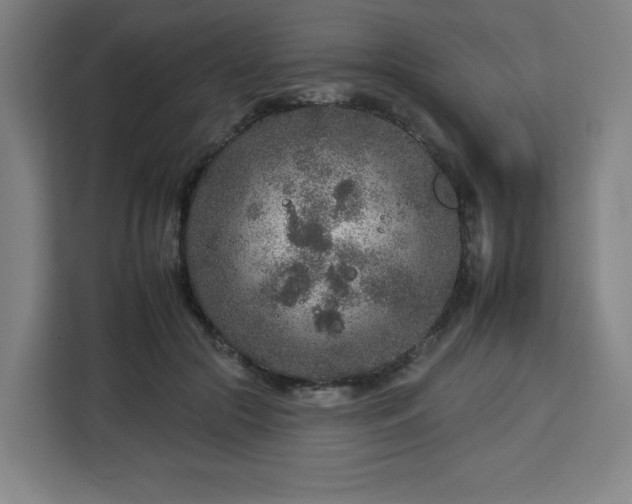 X0000112930553200908311320