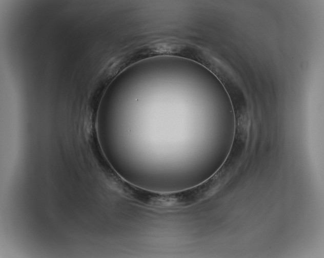 X0000112930554200908311320