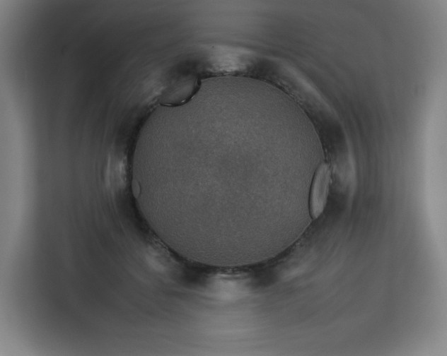 X0000112930556200908311320