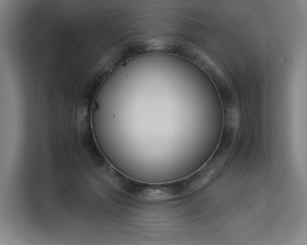 X0000112930557200908311320