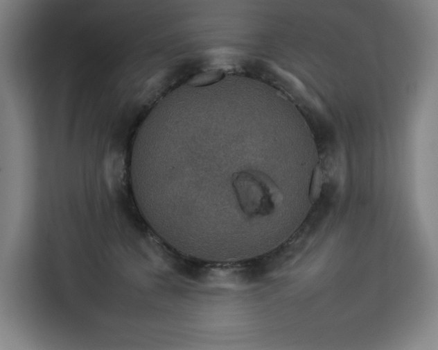 X0000112930560200908311320