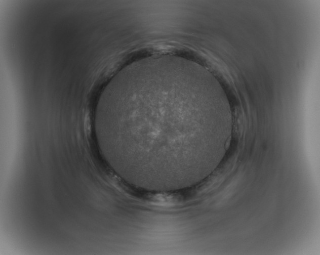 X0000112930562200908311320