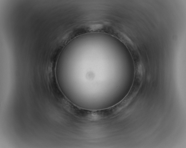 X0000112930565200908311320