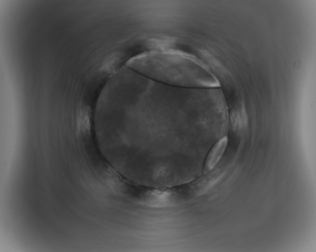 X0000112930570200908311320