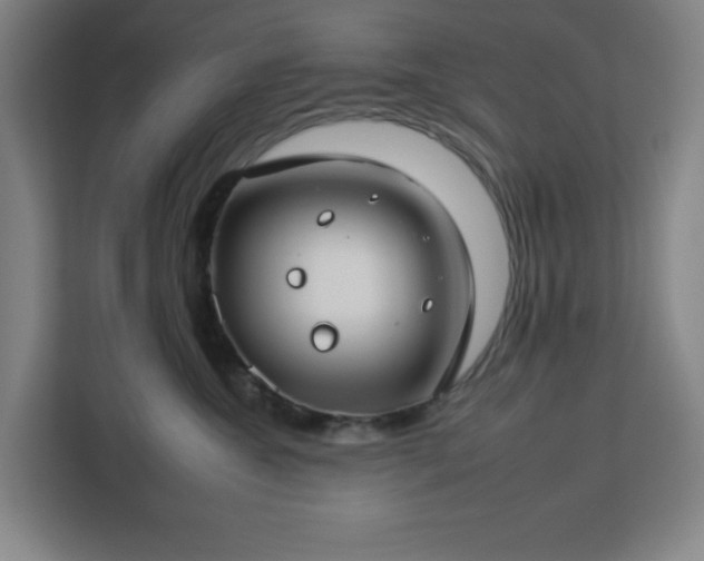 X0000112930572200908311320