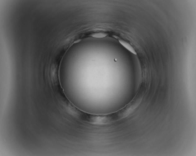 X0000112930575200908311320