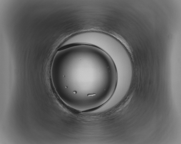 X0000112930577200908311319