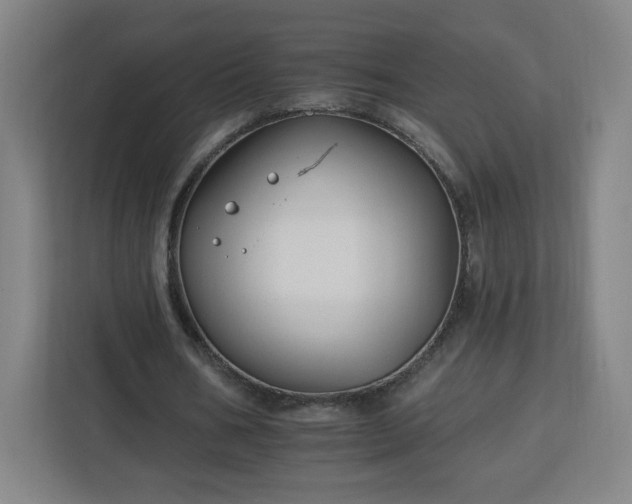 X0000112930578200908311319