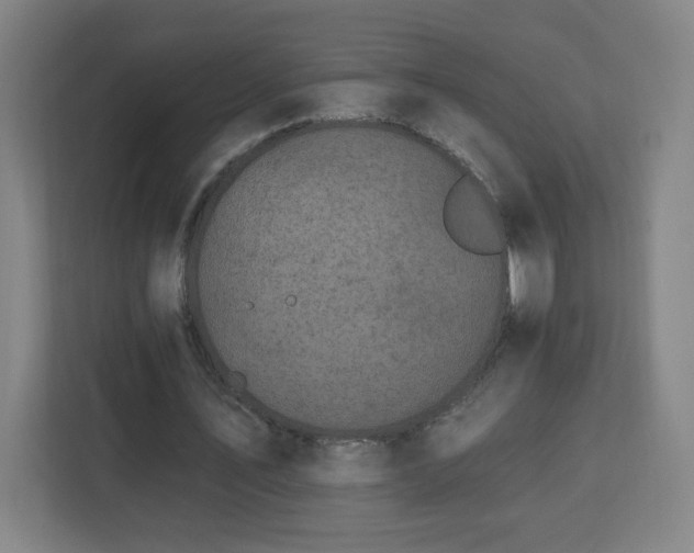 X0000112930579200908311319