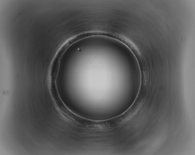 X0000112930580200908311319