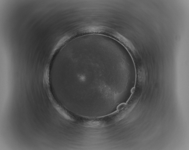 X0000112930581200908311319