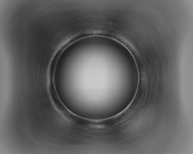 X0000112930582200908311319