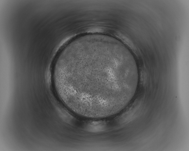 X0000112930584200908311319