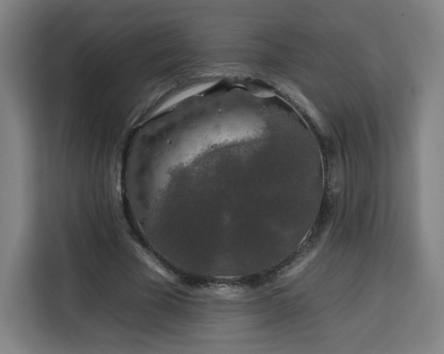 X0000112930585200908311319