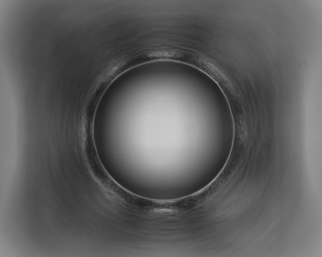 X0000112930586200908311319