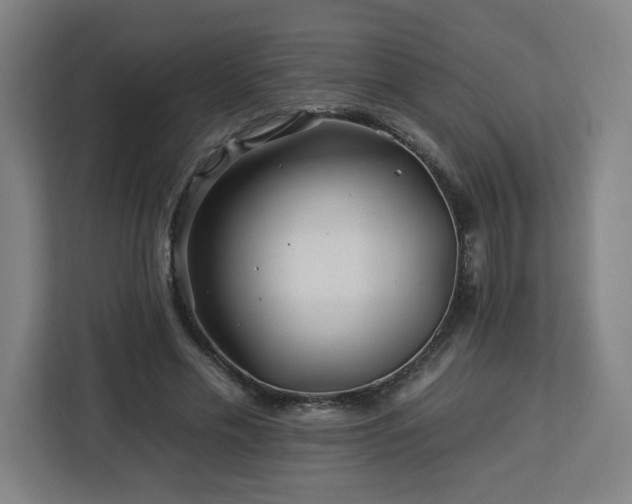 X0000112930589200908311319