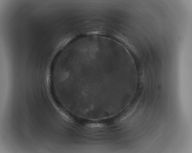 X0000112930590200908311319