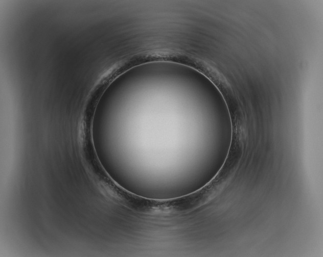 X0000112930591200908311319