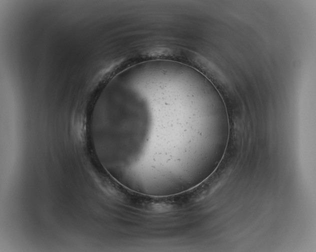 X0000112930592200908311319