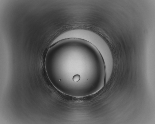 X0000112930593200908311319