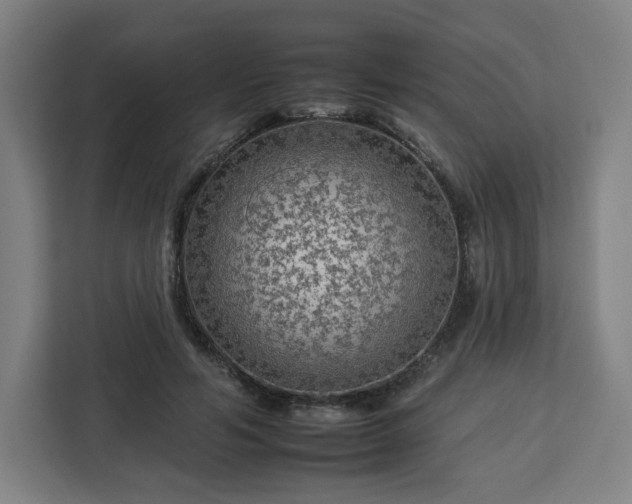 X0000112930594200908311319