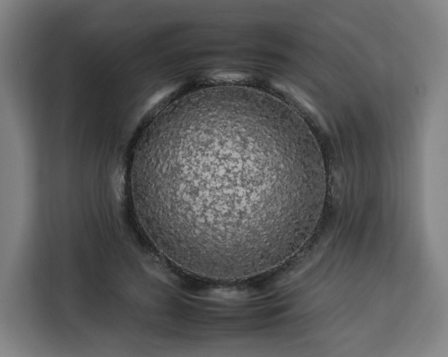 X0000112930596200908311319