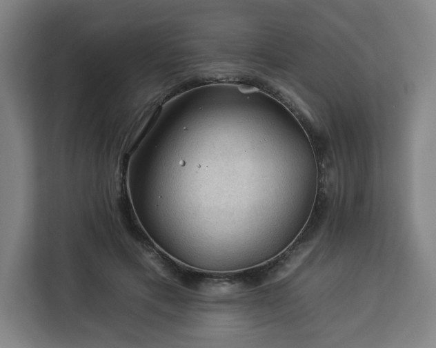 X0000112930597200908311319