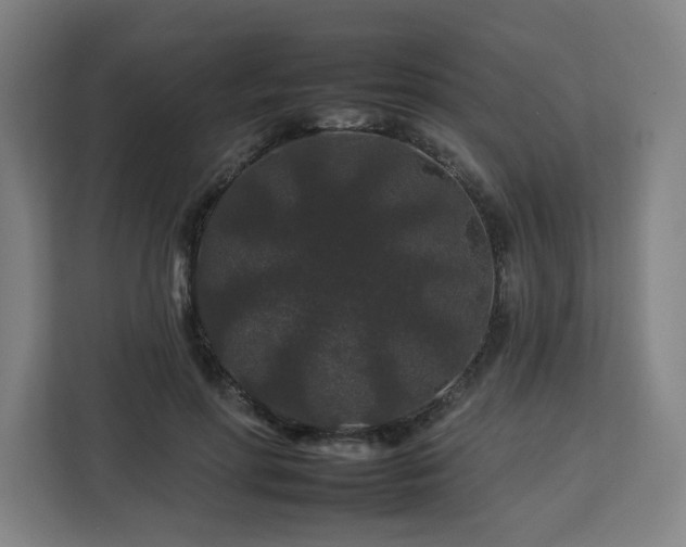 X0000112930598200908311319