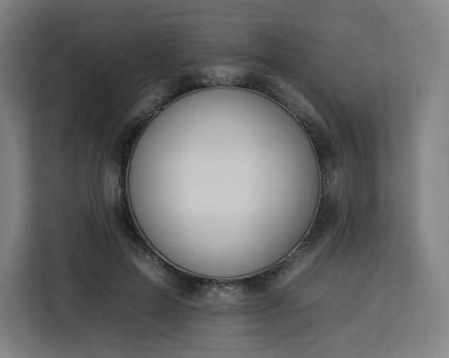 X0000112930599200908311319