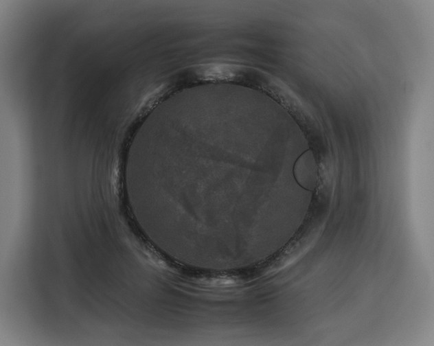 X0000112930600200908311319