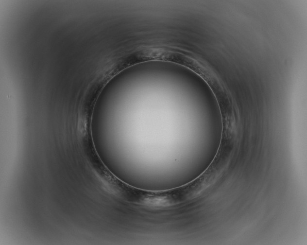 X0000112930602200908311319