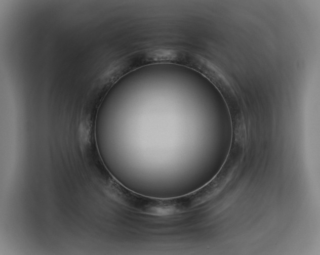 X0000112930604200908311319