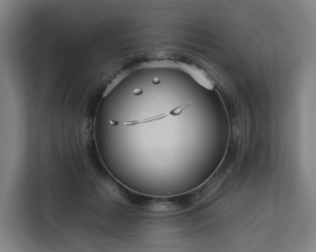 X0000112930605200908311319