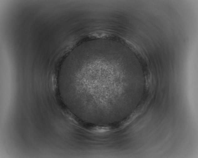 X0000112930606200908311319