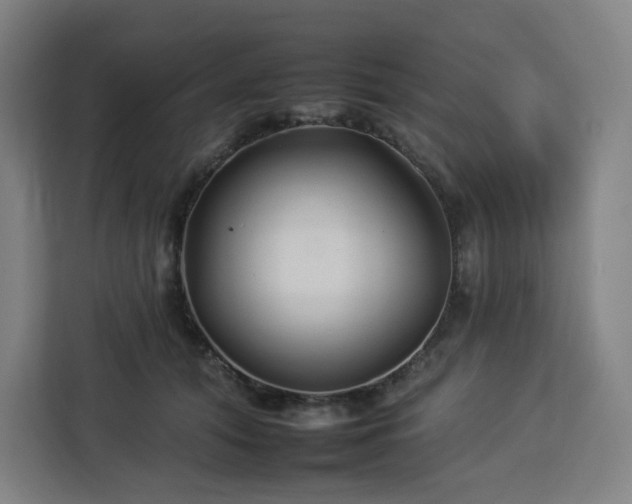 X0000112930608200908311319