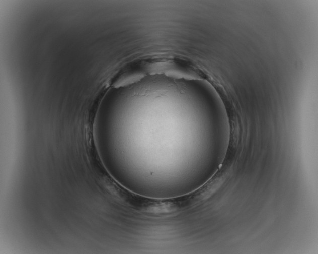 X0000112930609200908311319