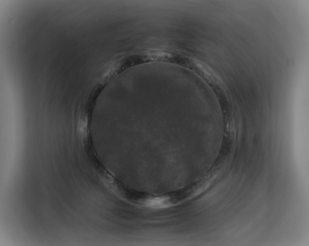 X0000112930610200908311319