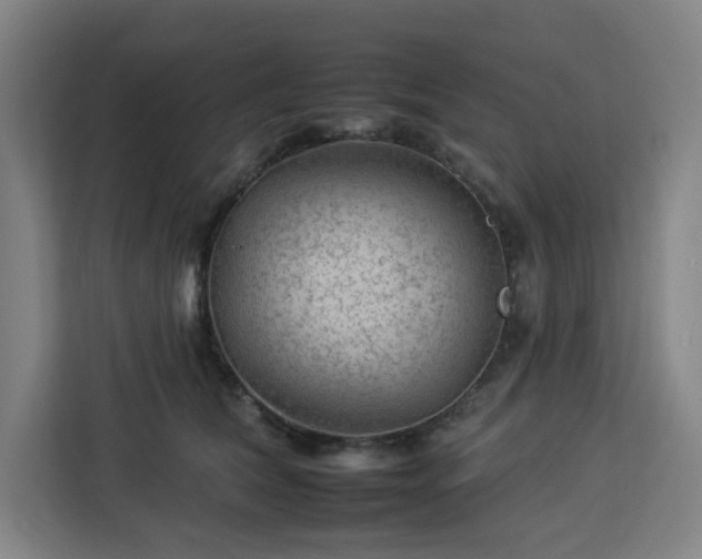 X0000112930612200908311319