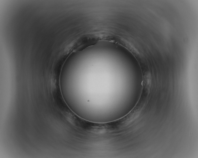 X0000112930615200908311319